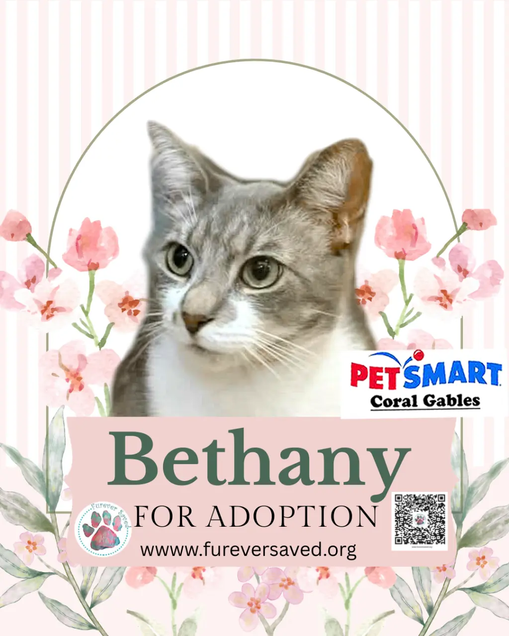 Bethany
