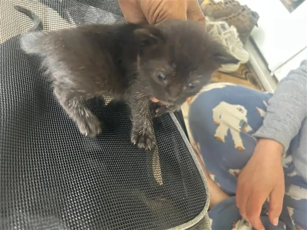 A656730