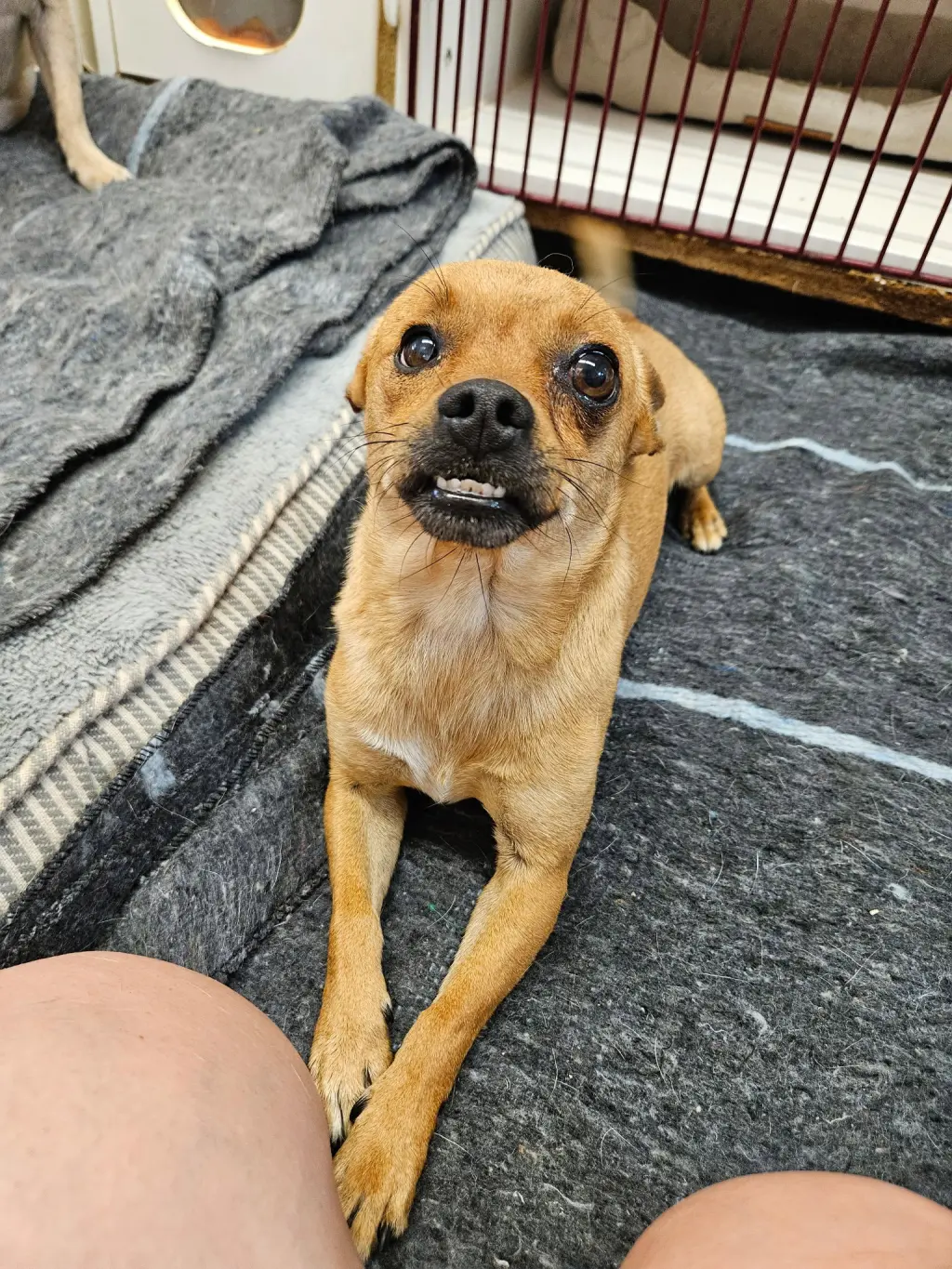 Mouth