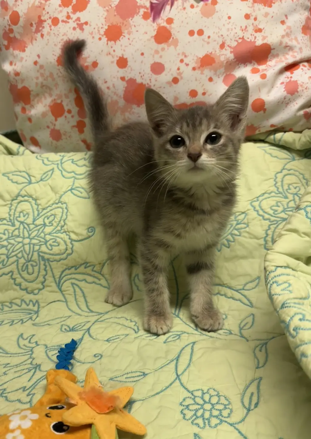 Milo