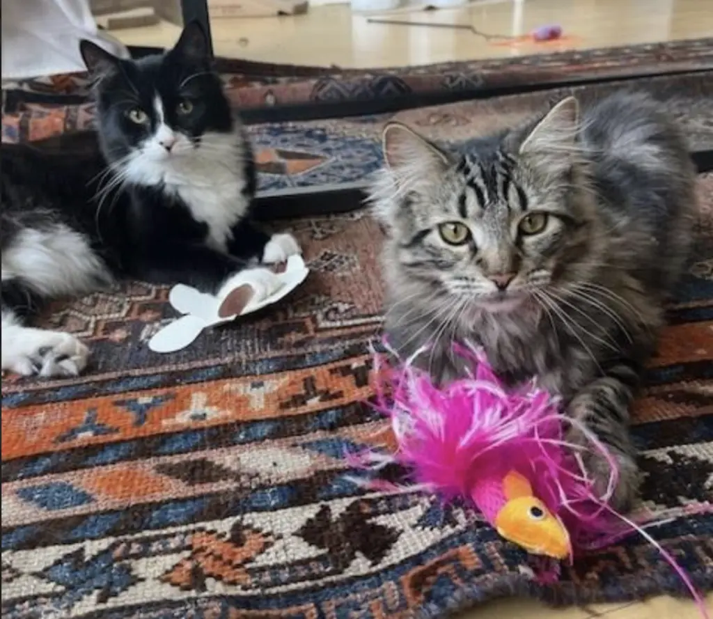 Tux & Tiger