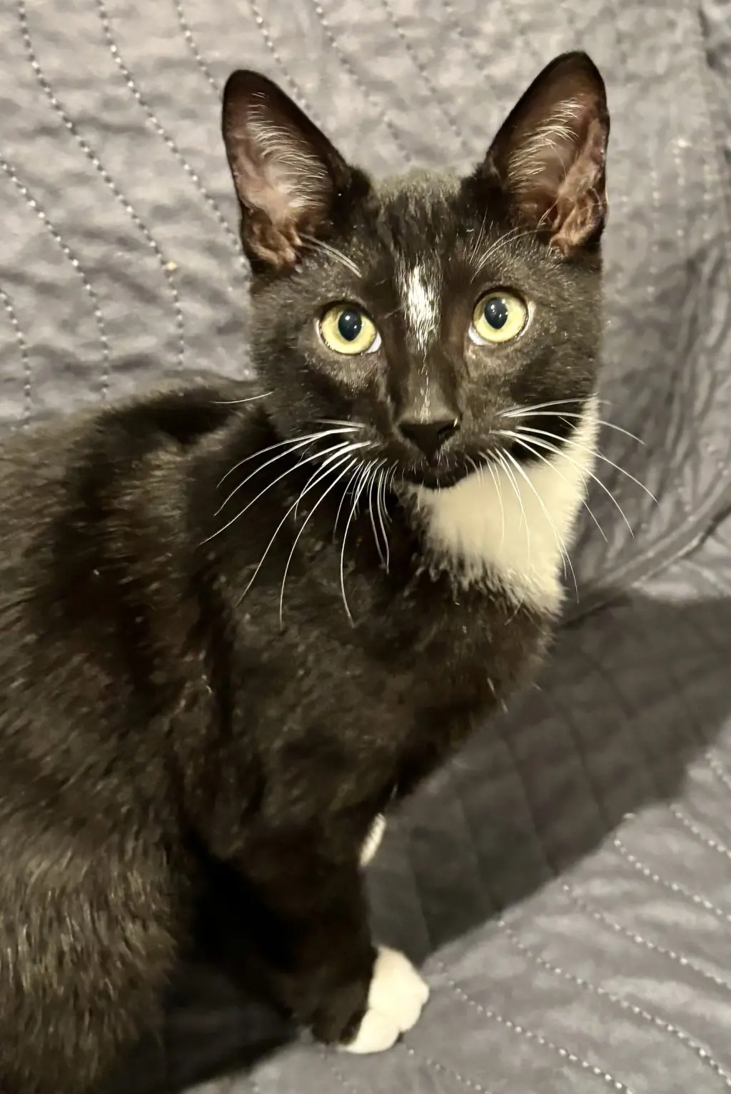 George