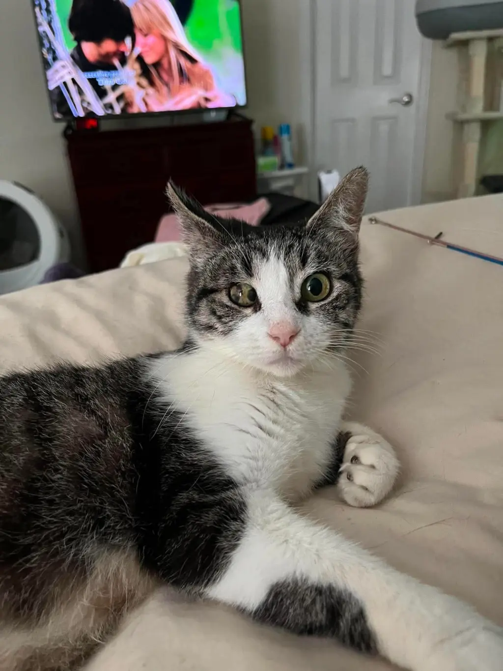 LIBBY