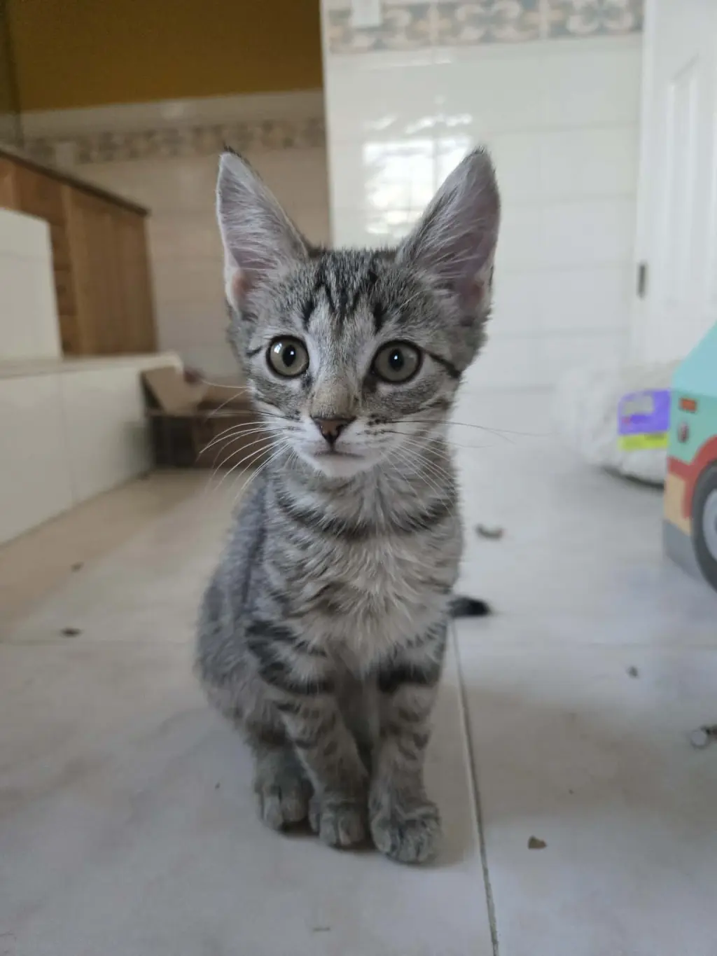 PALMER