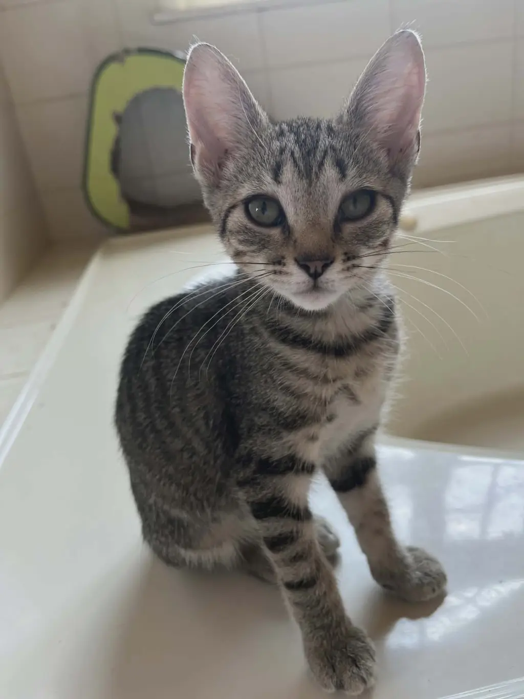 LULU