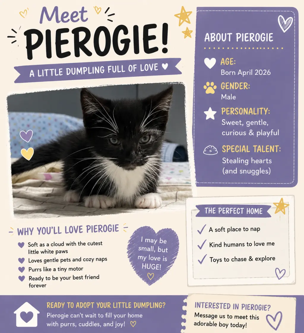 Pierogie