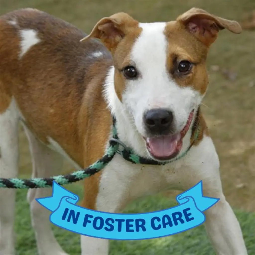 BUZZ LIGHTYEAR
