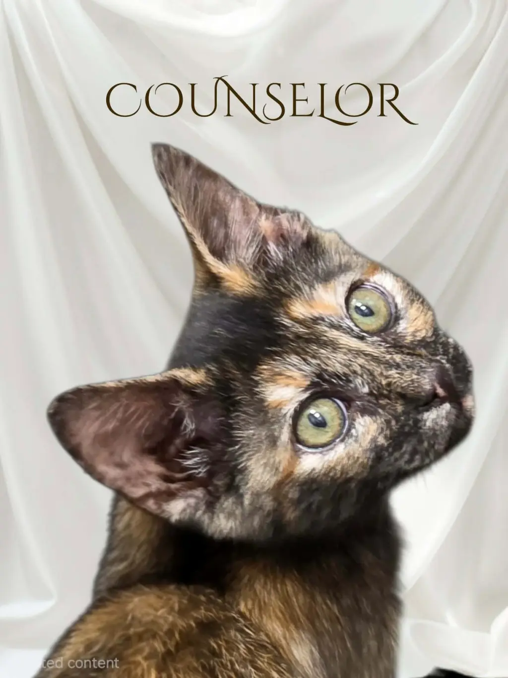 Counselor