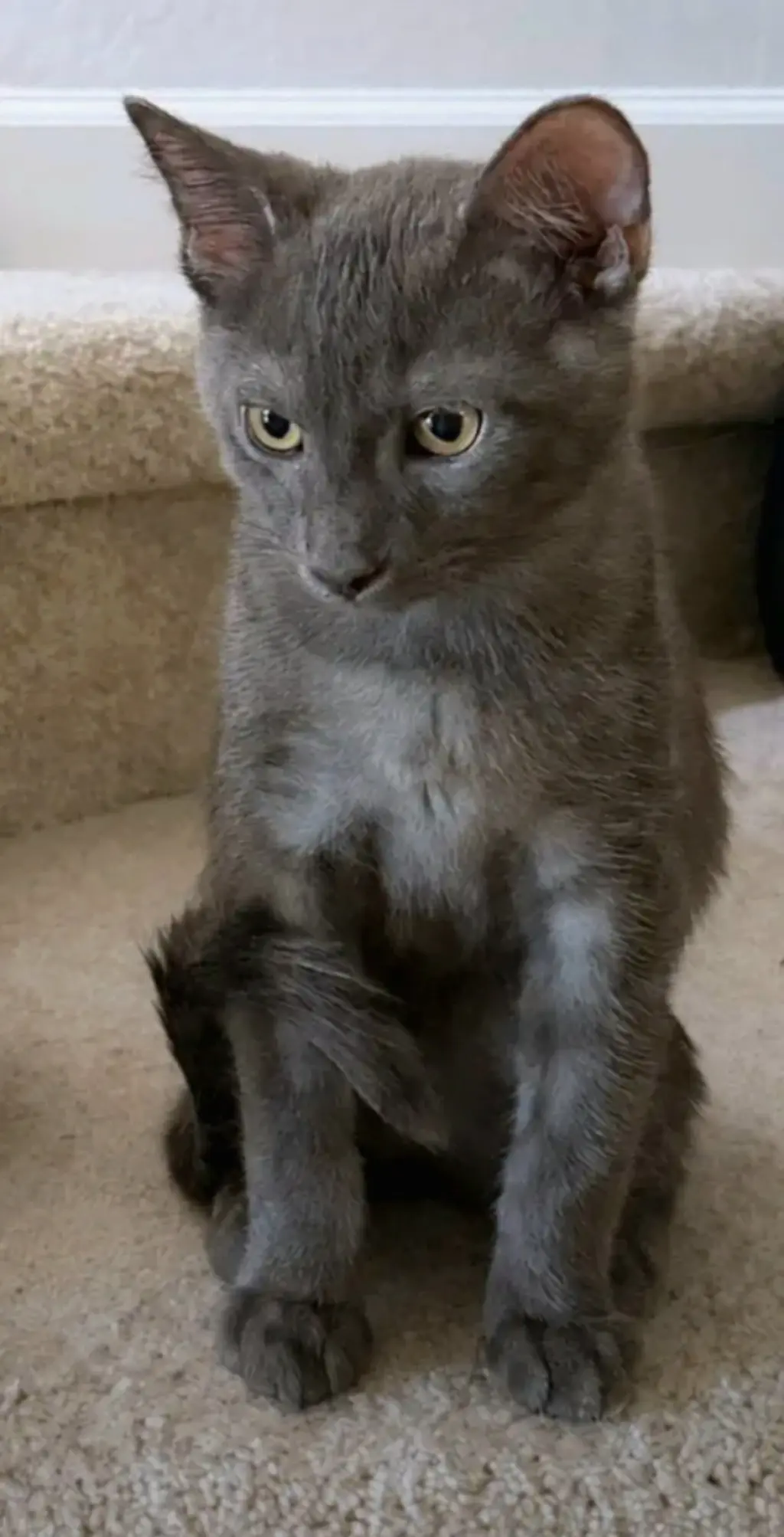 Smudge