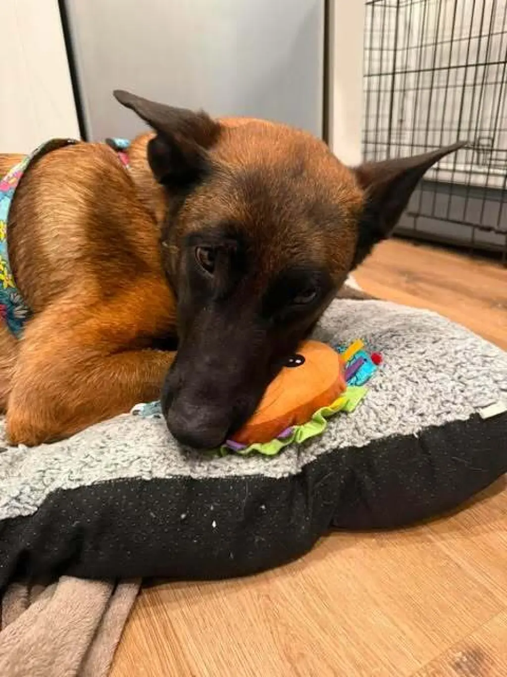 Hera - located in CA