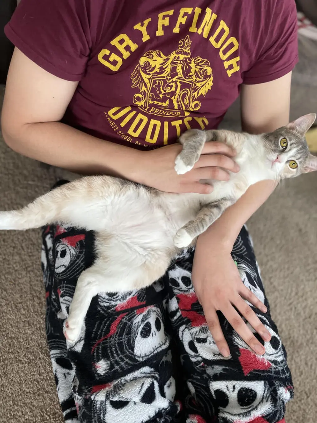 Mango (bonded with Kiwi)
