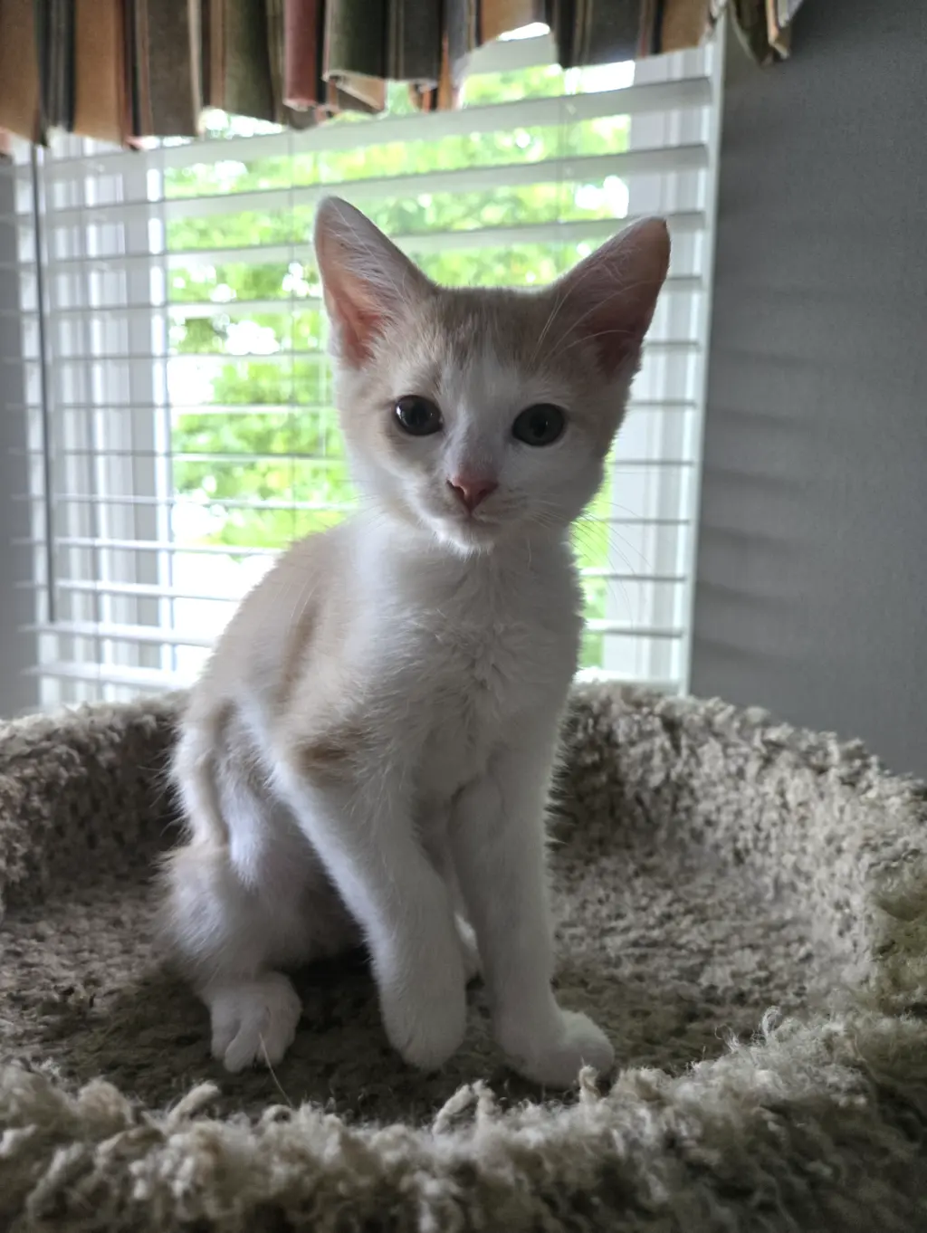 Sundial and Sunburn ***Bonded Pair***