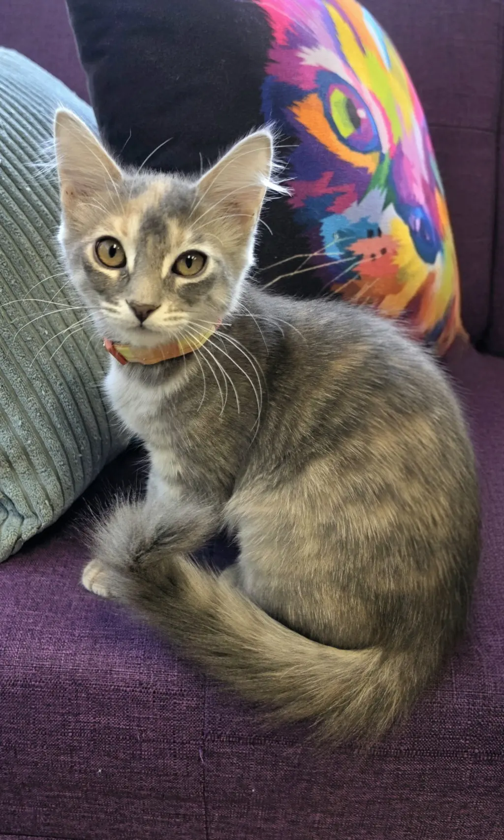 Coco