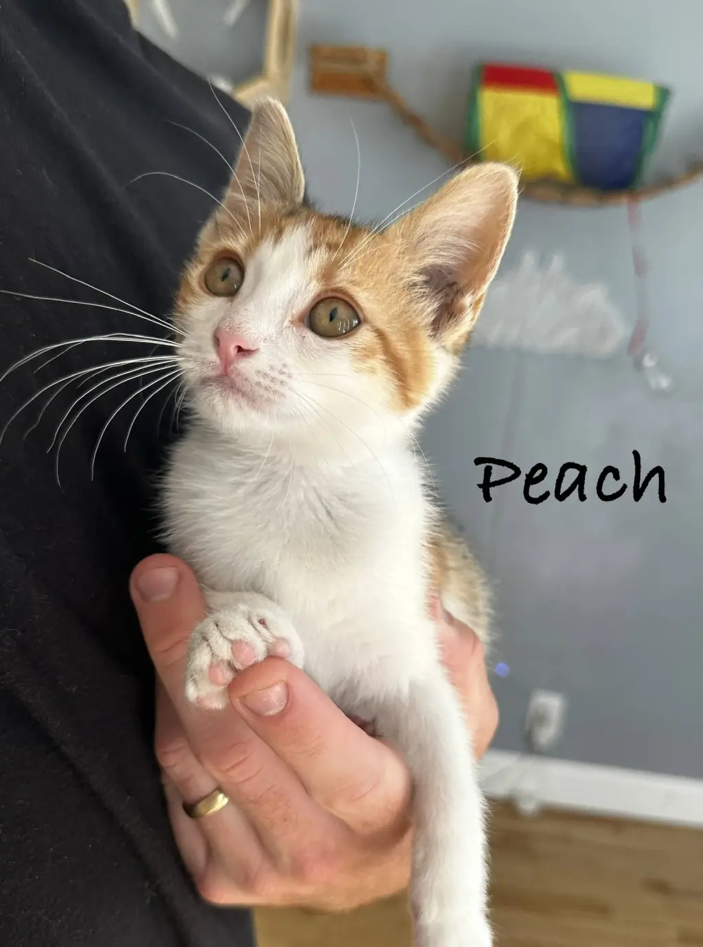 Peach