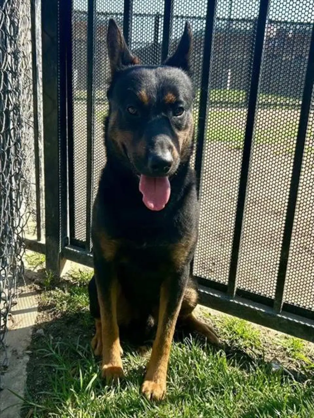 REX