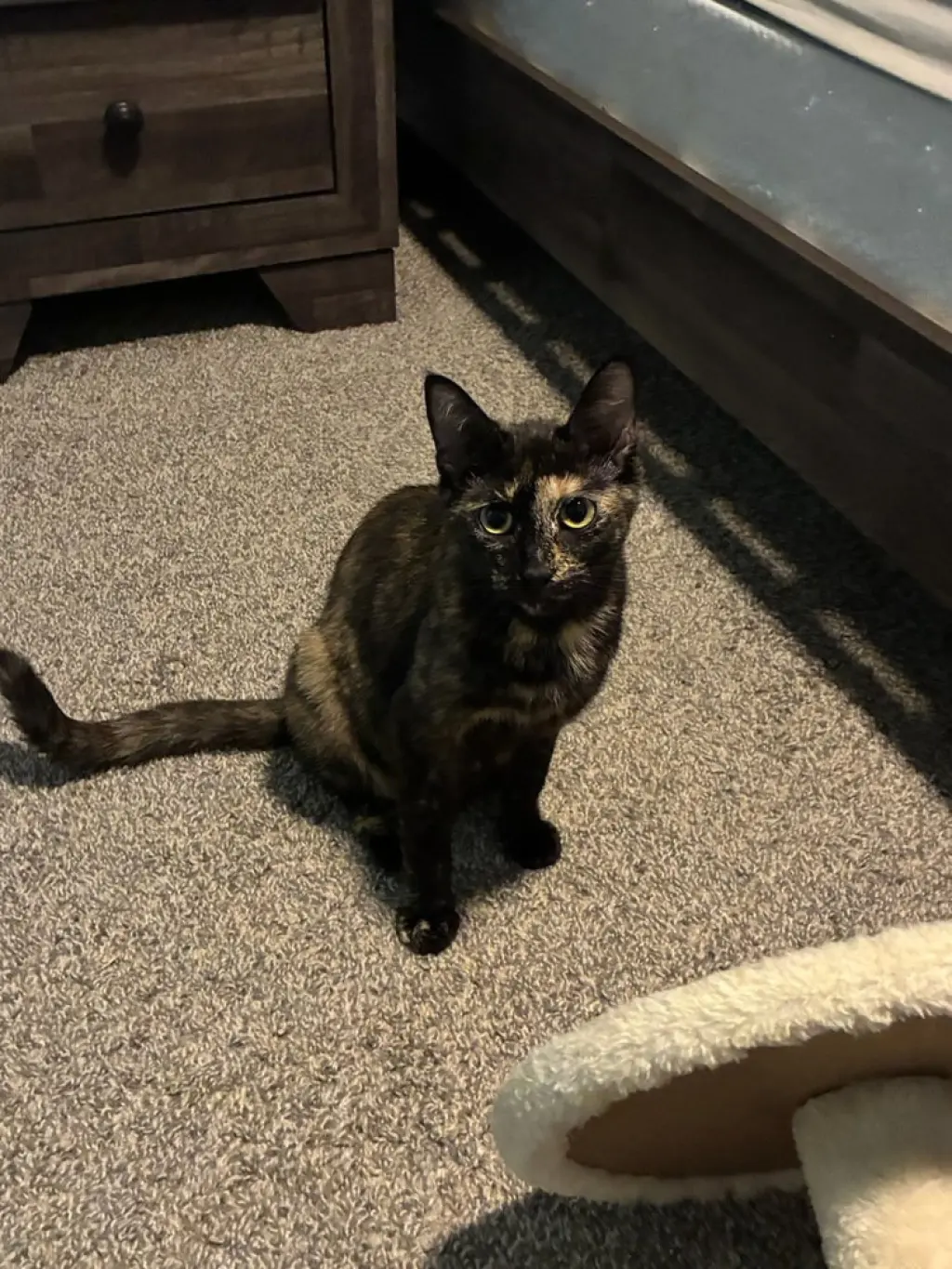 Cleo