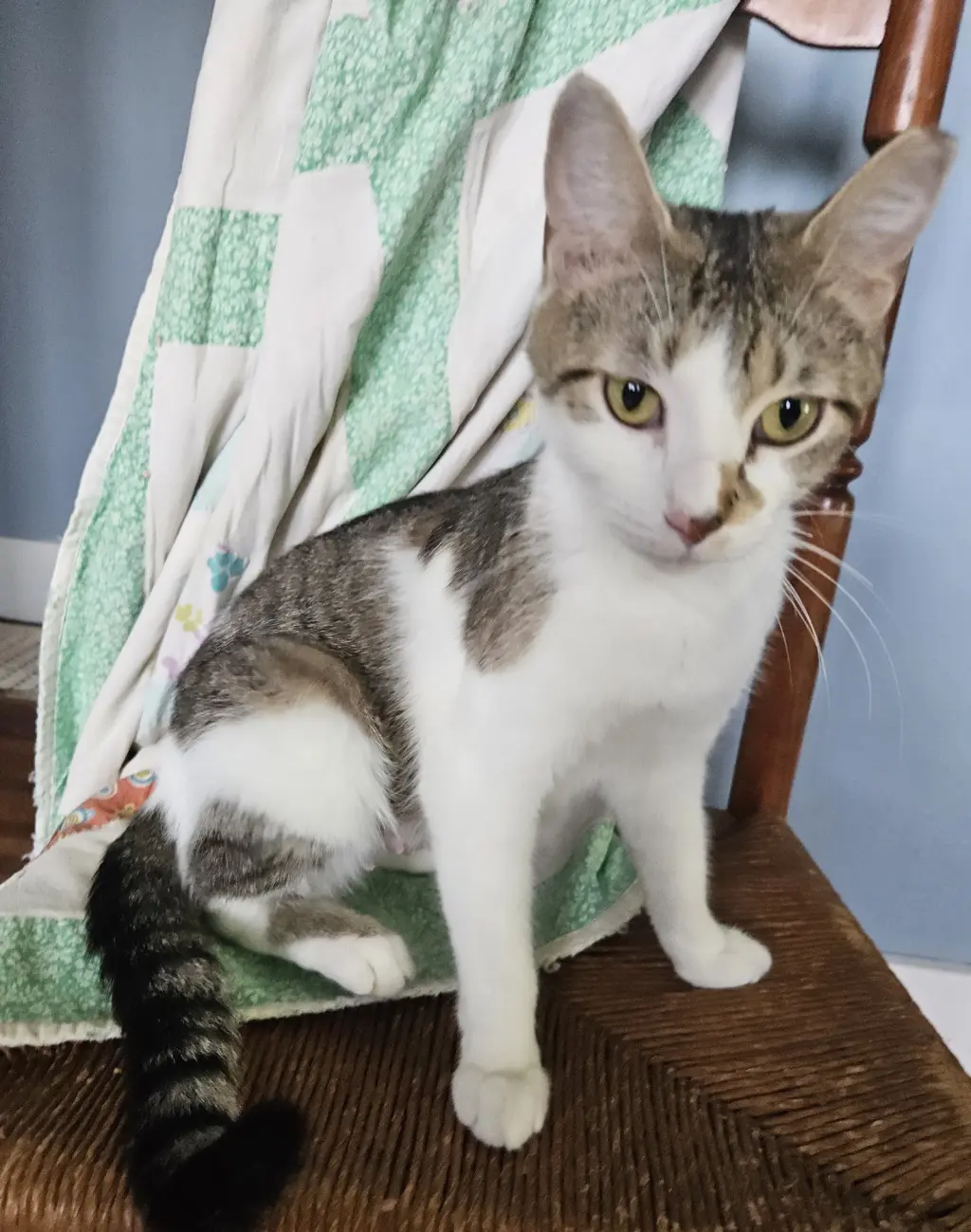Luna