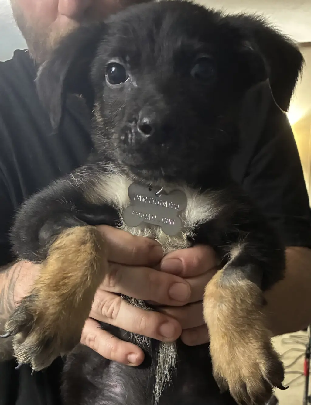 Kratos- Twitch Team Litter