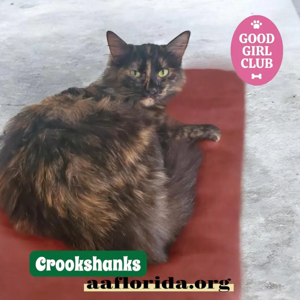 Crookshanks