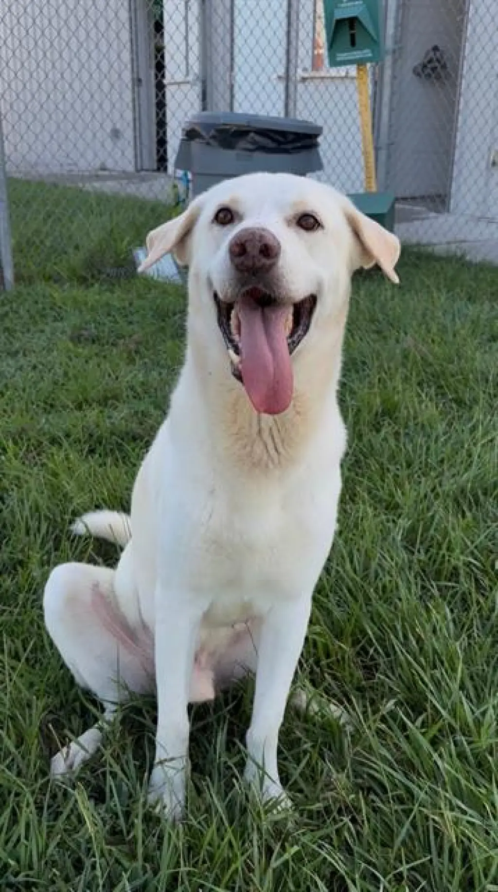 CHURRO