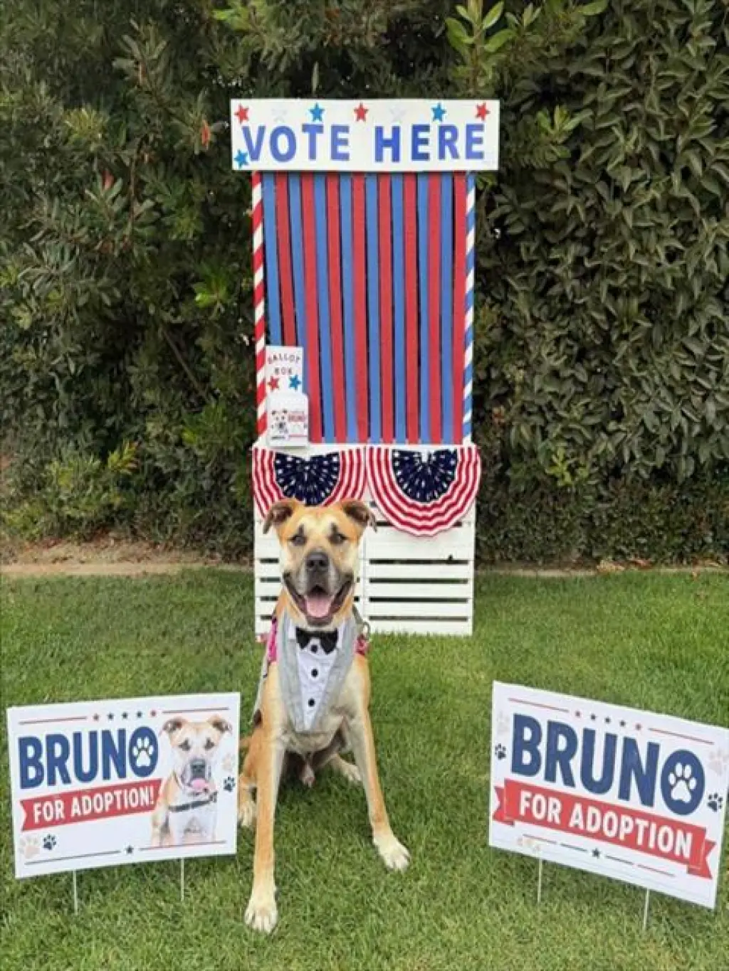 BRUNO