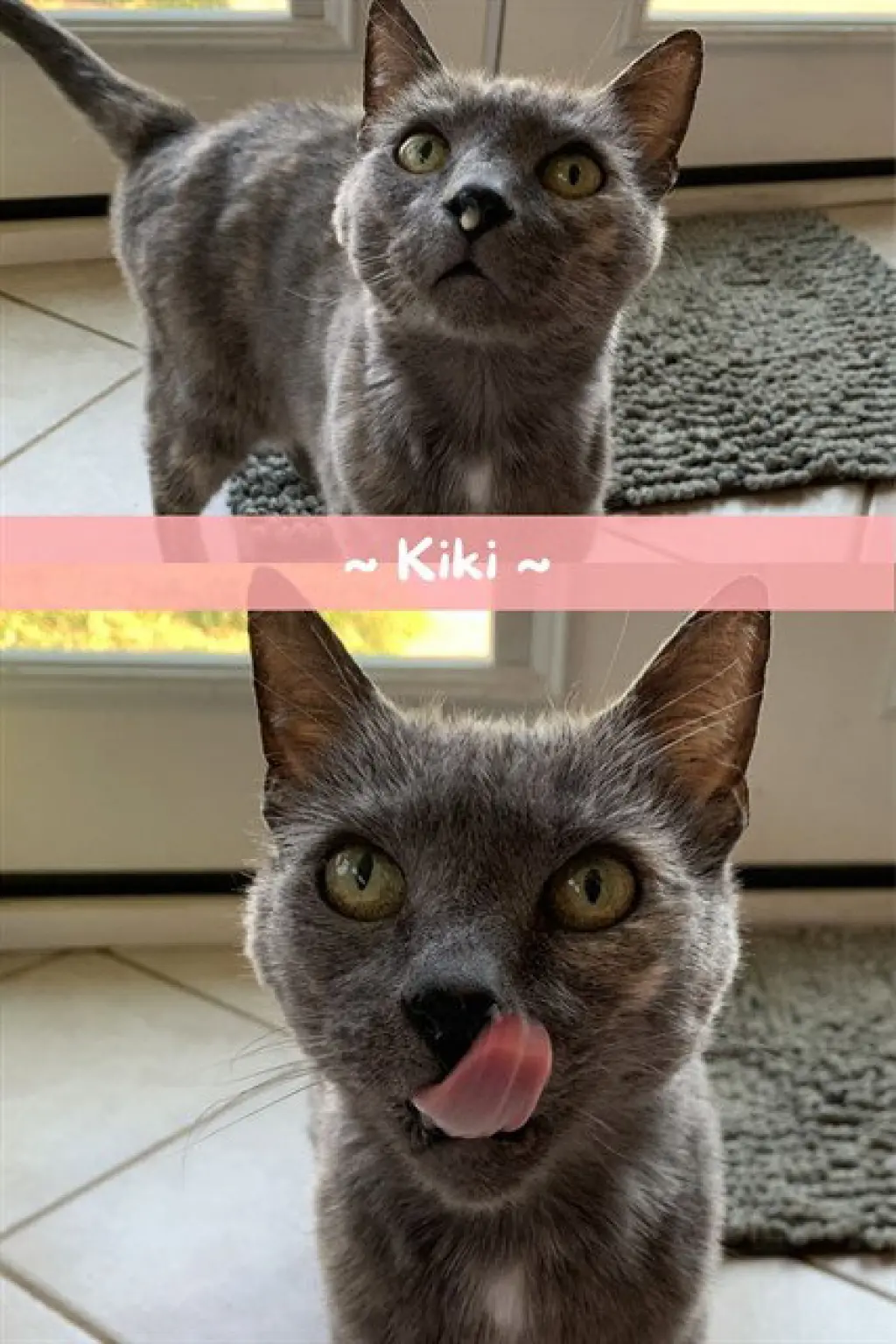 KIKI