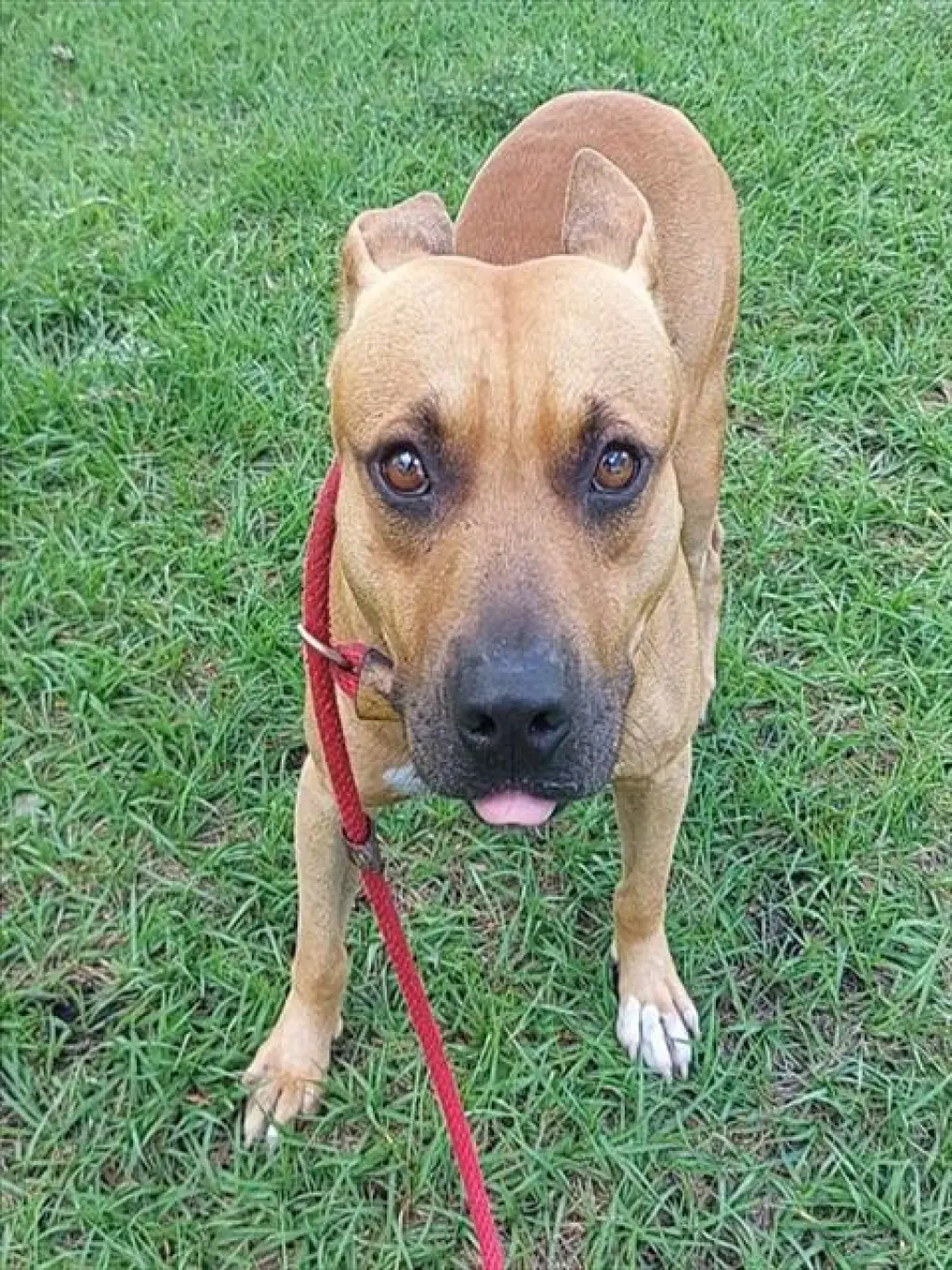 MARLEY