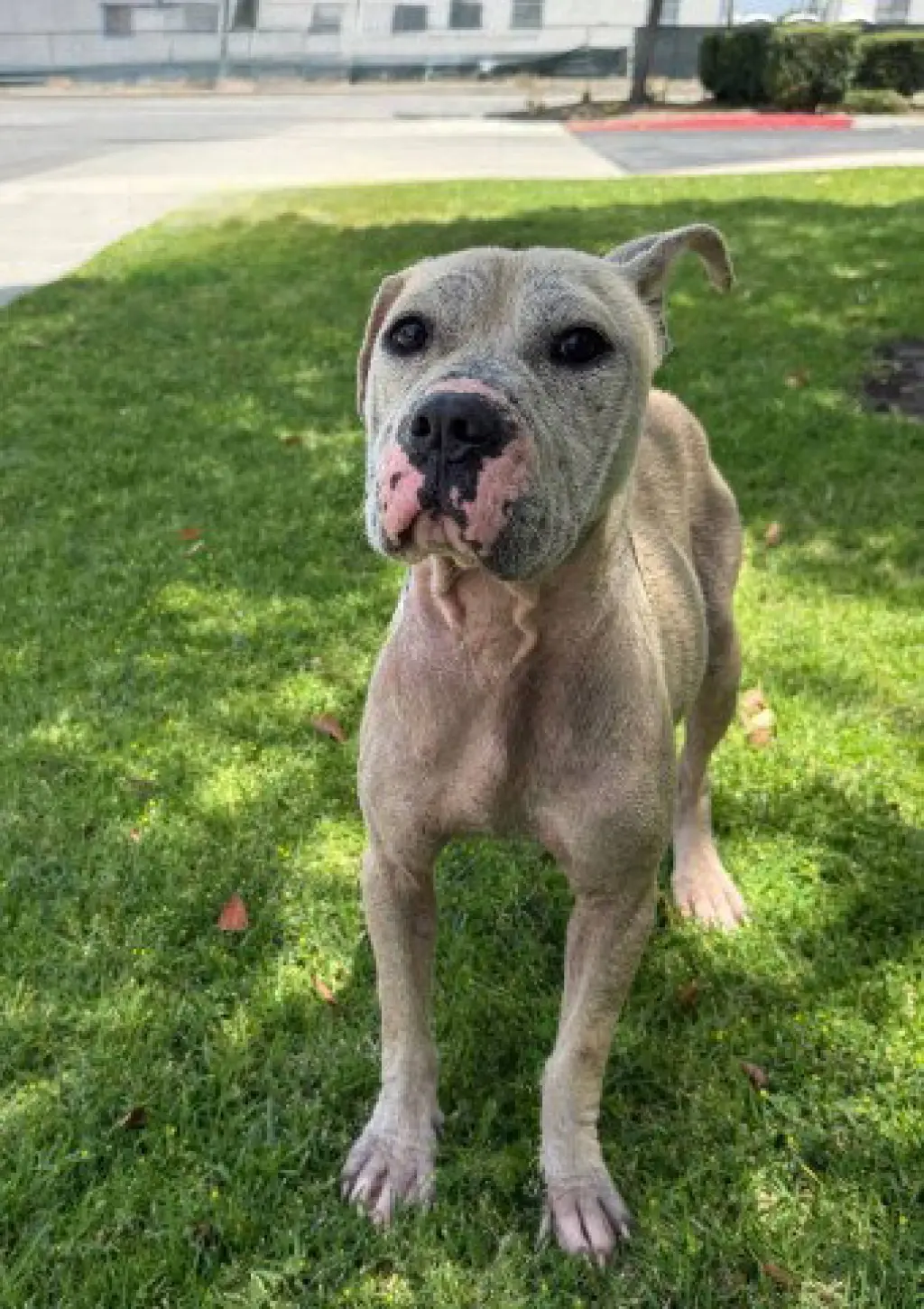 LEONA- IN FOSTER