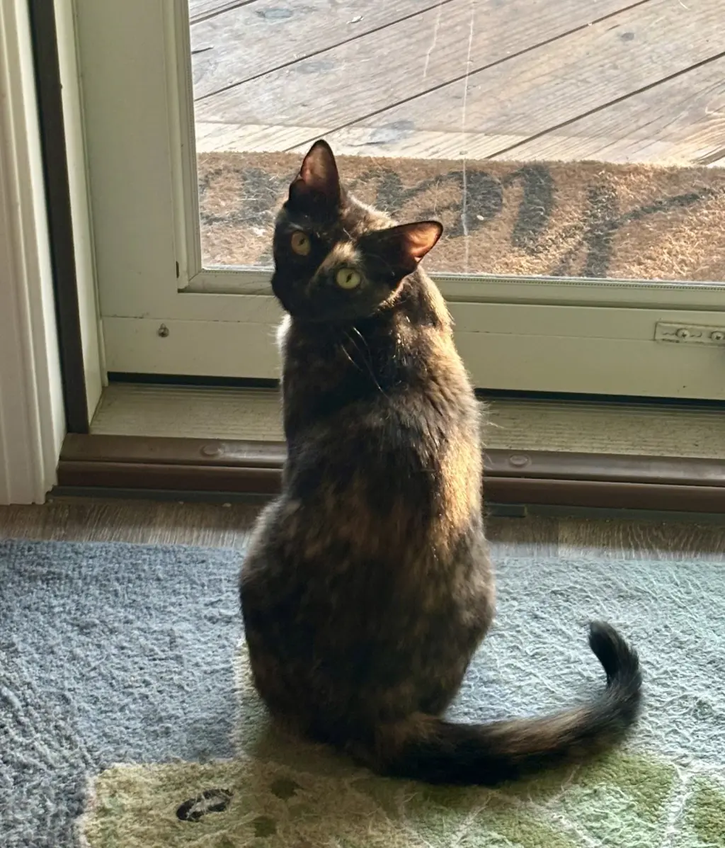 Rosie