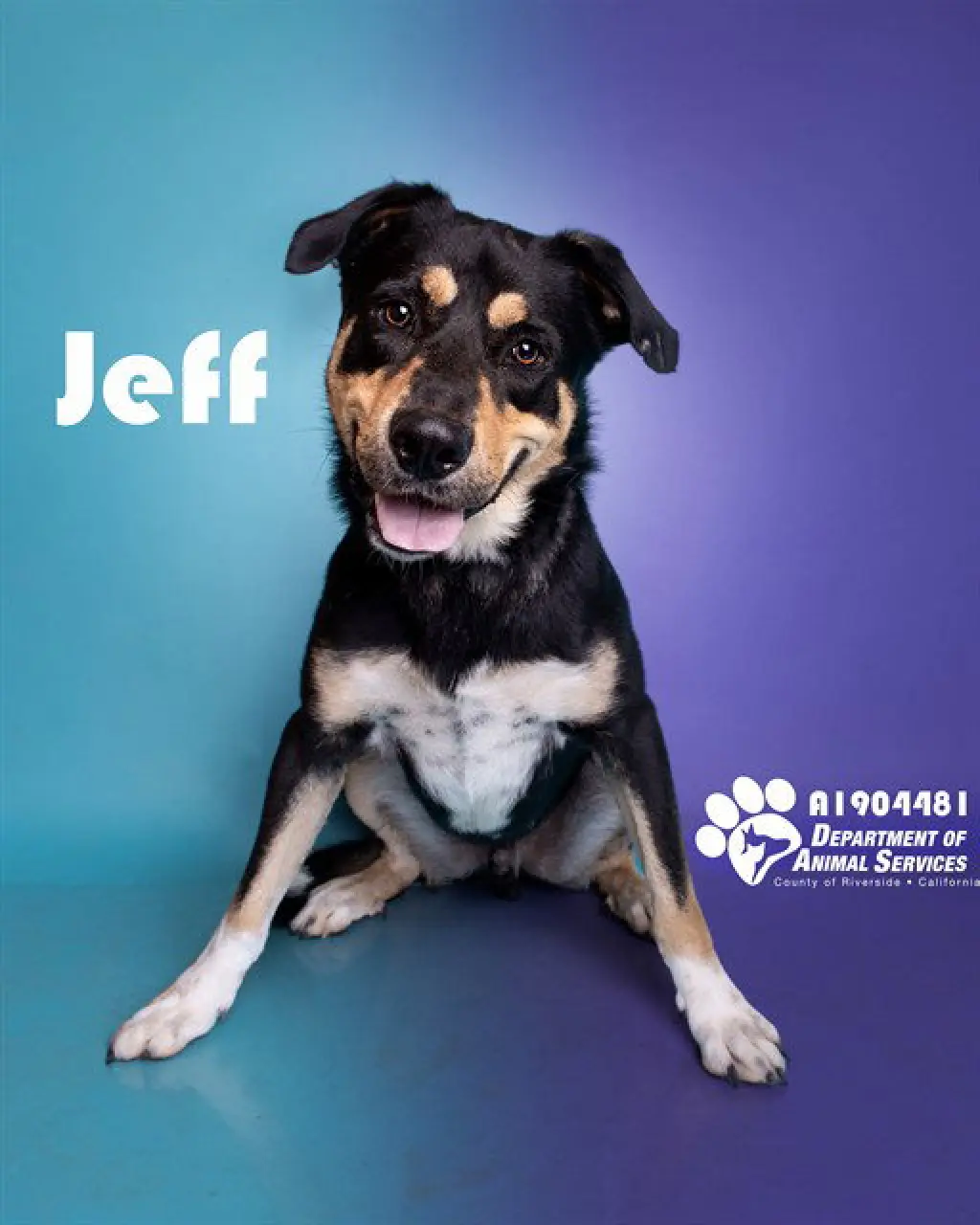 JEFF