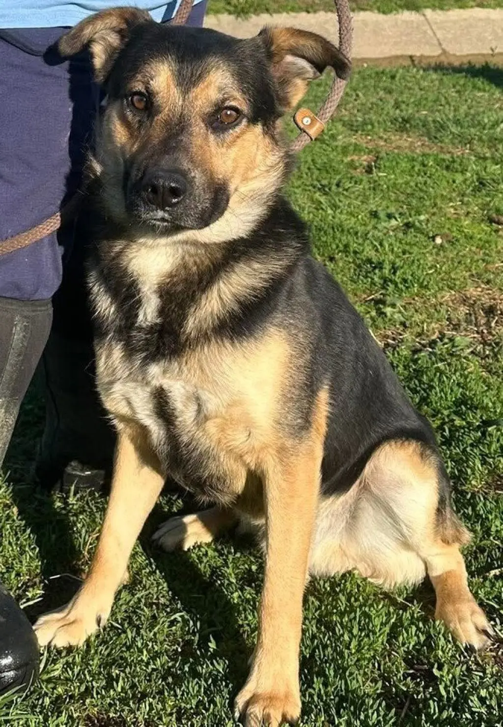 Zane