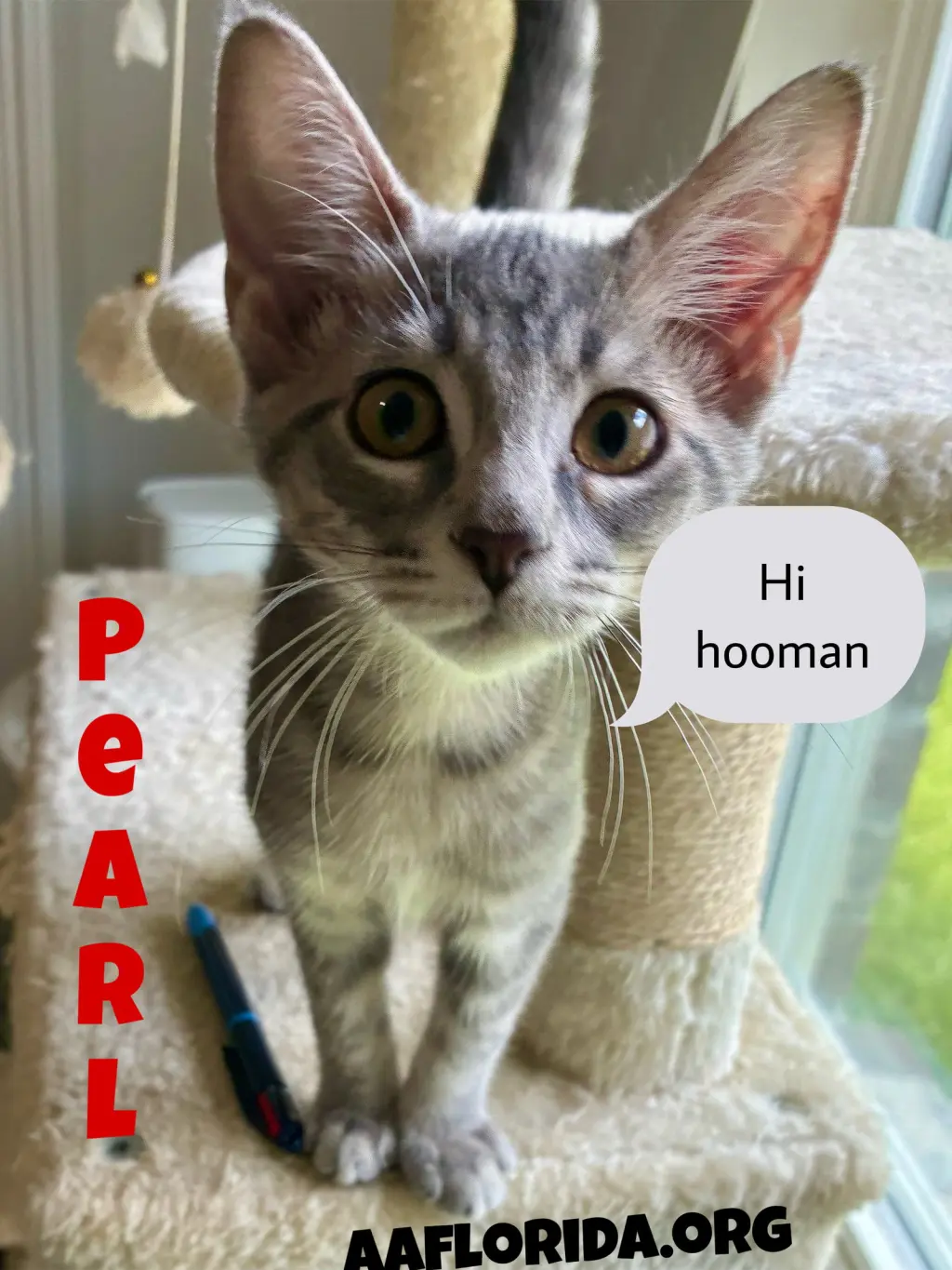 Pearl