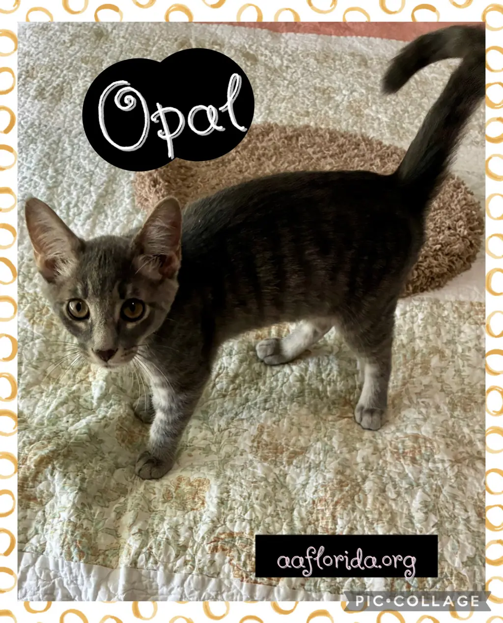 Opal