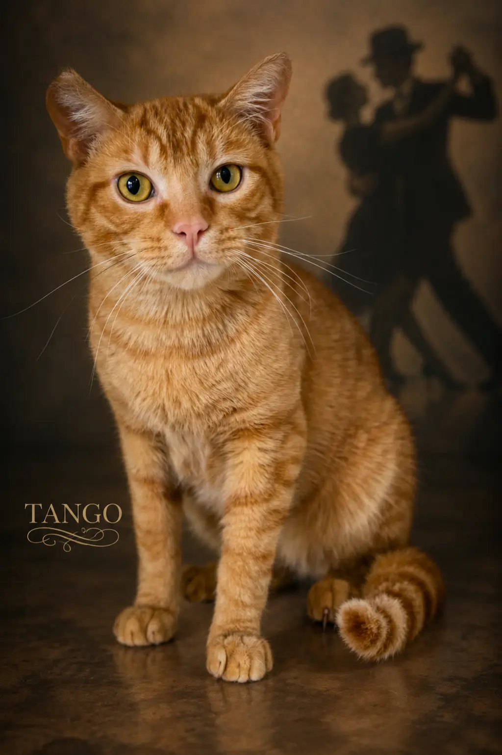 Tango (FCID# 04/27/2026 - 46)
