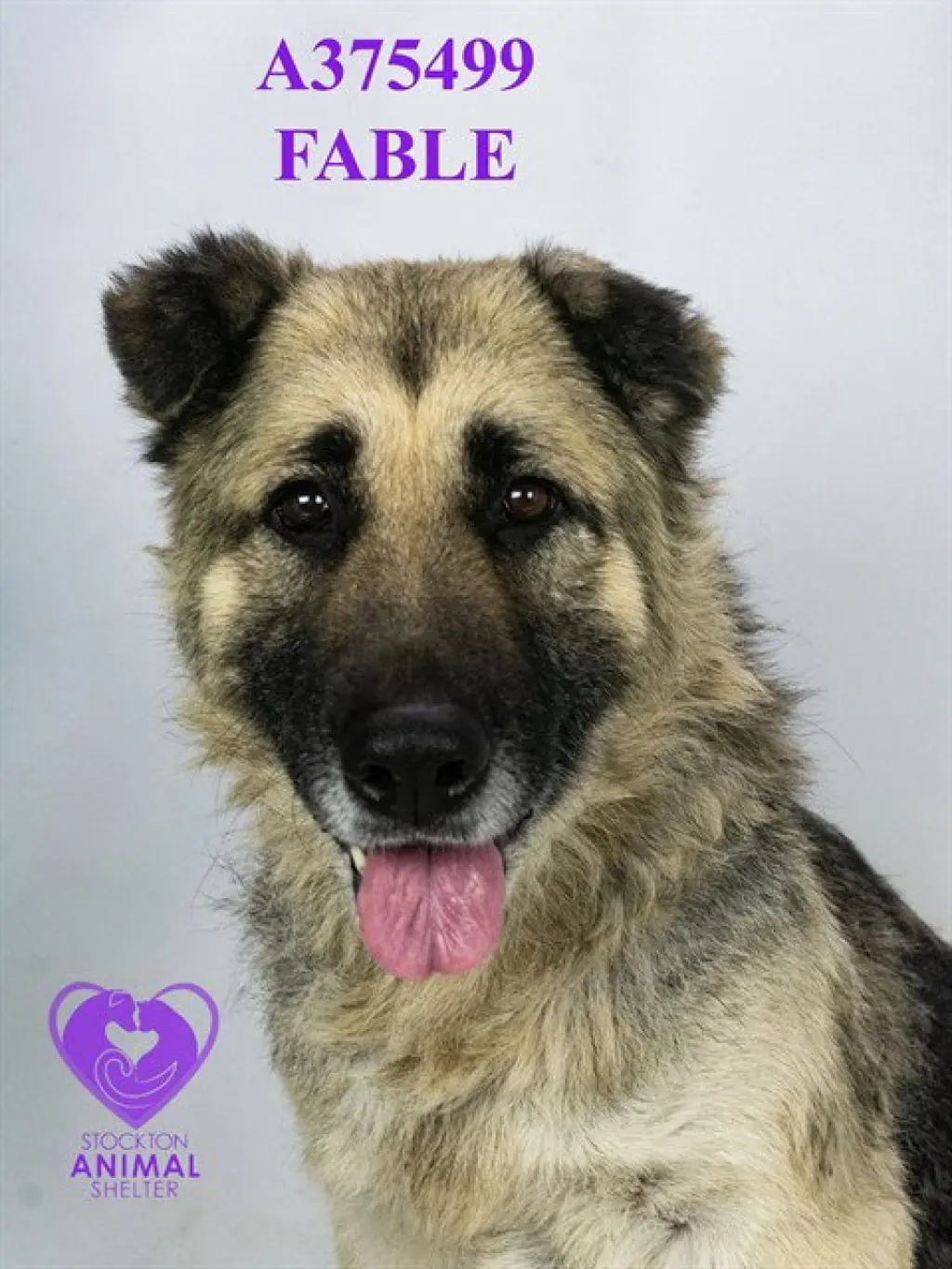 FABLE