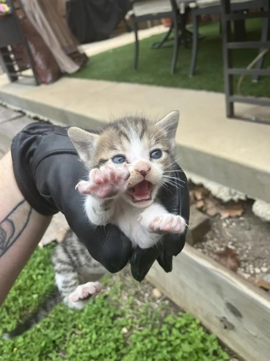 WALTER