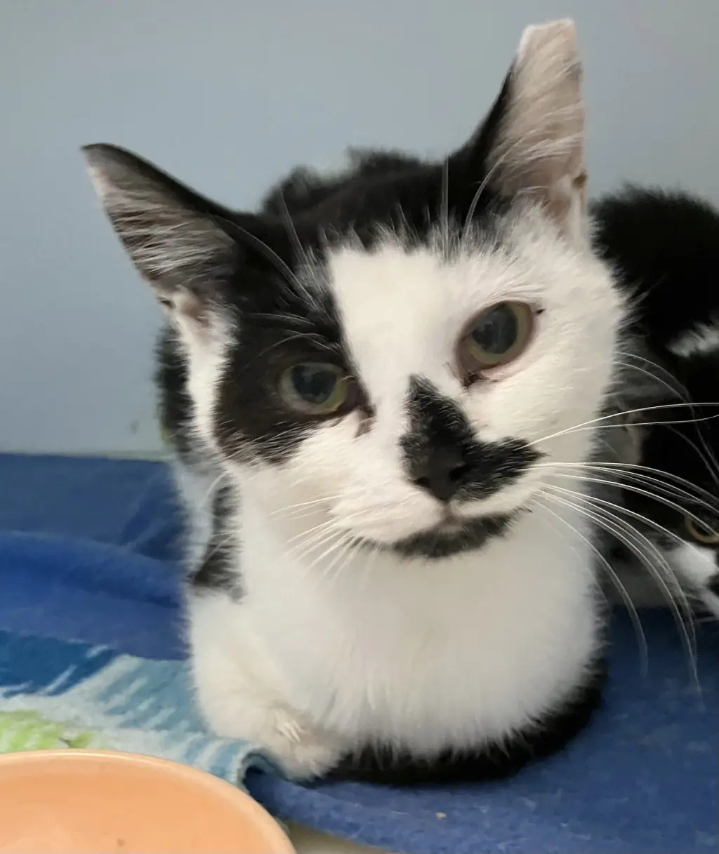 Jeannae - KBC (bonded with Monty)