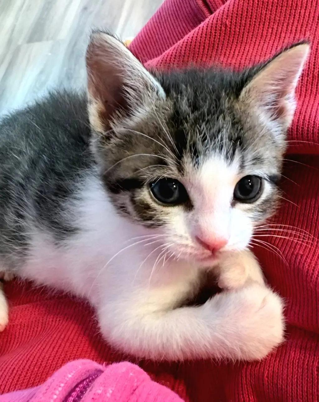 Lena