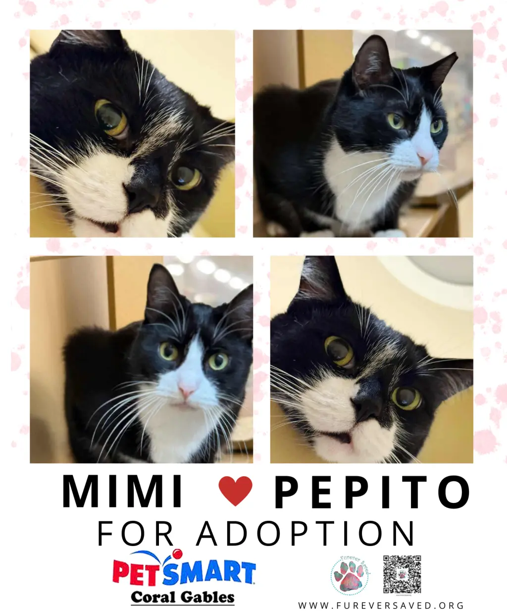 Mimi and Pepito