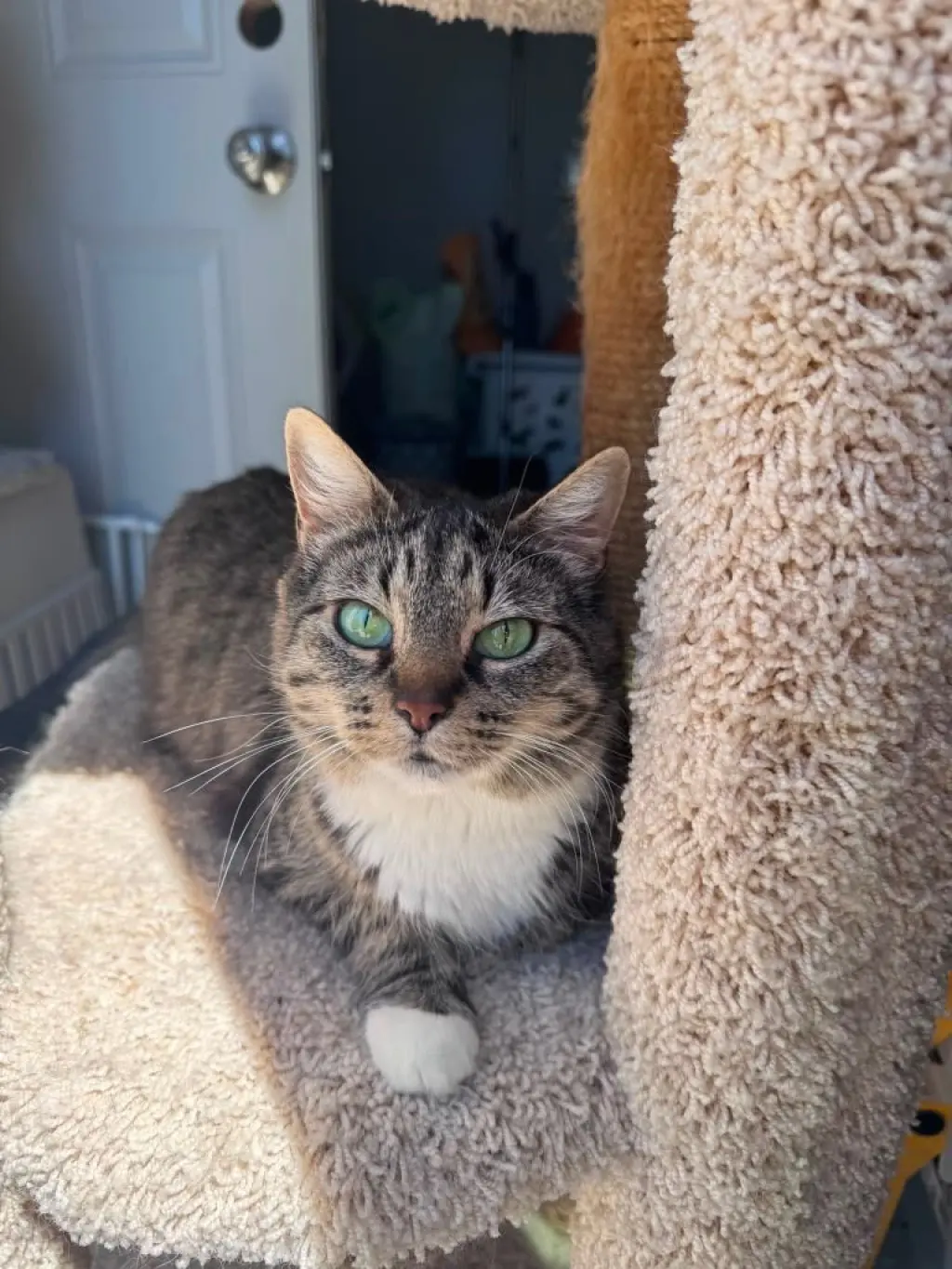 Luna