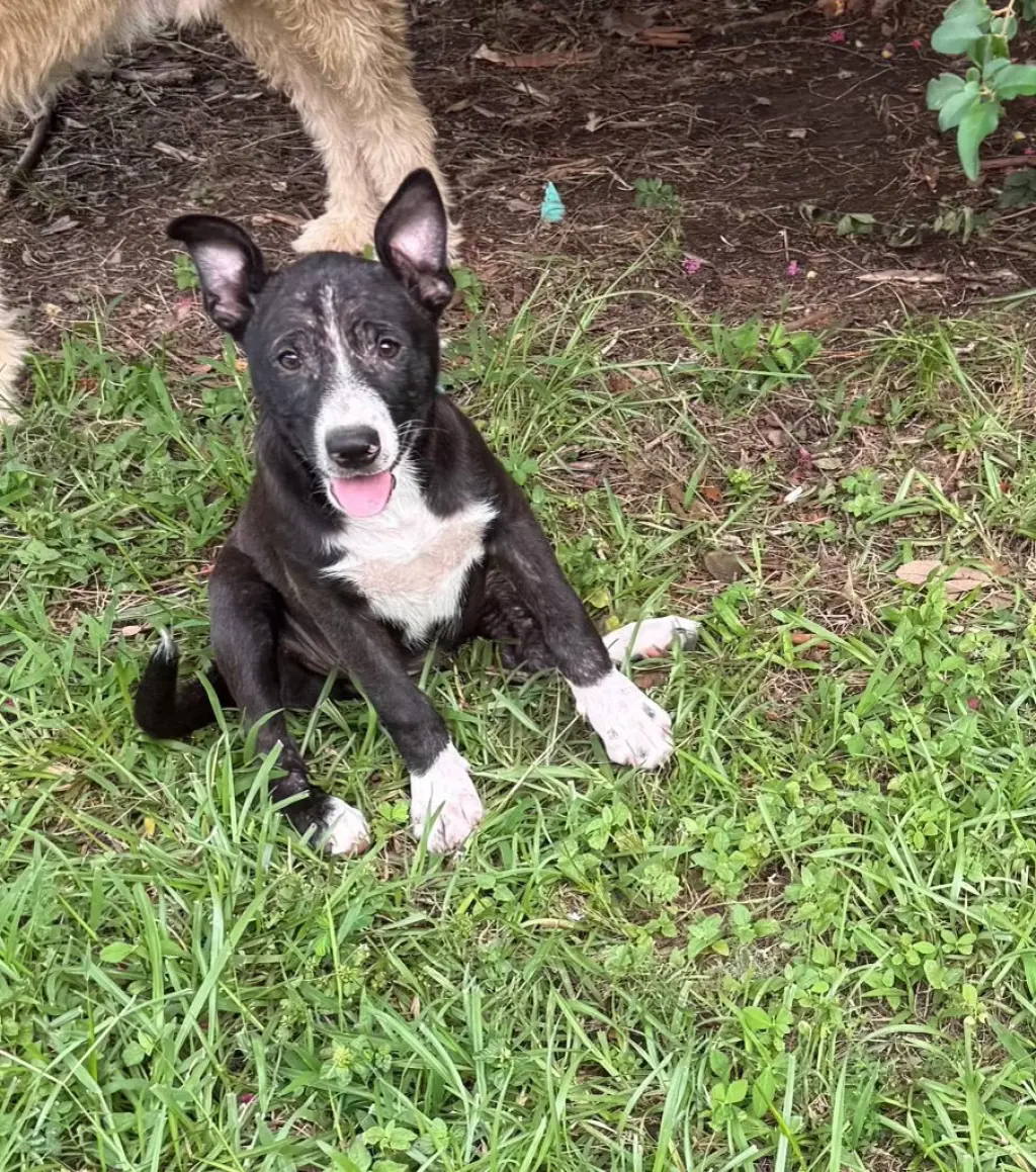 Loretta