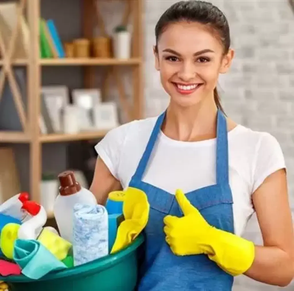 Medina's Maid Services