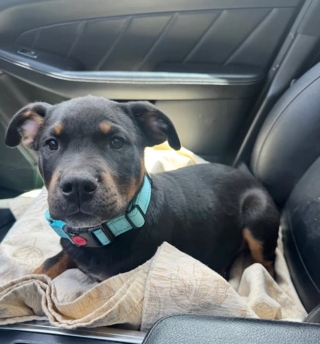Max
