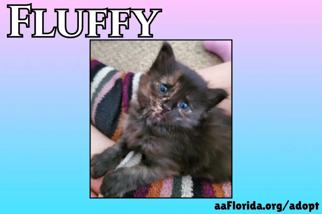 Fluffy