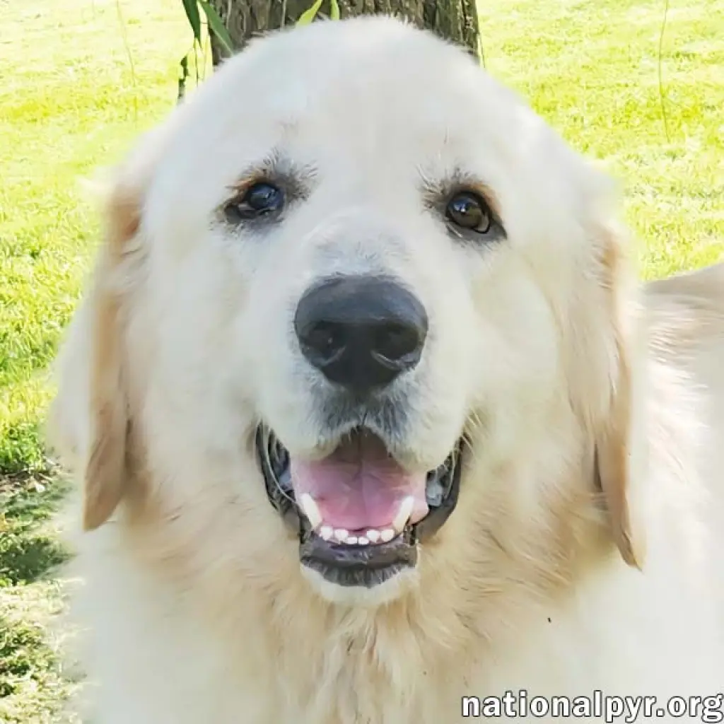 Reece in KY - Loves Meeting New People!