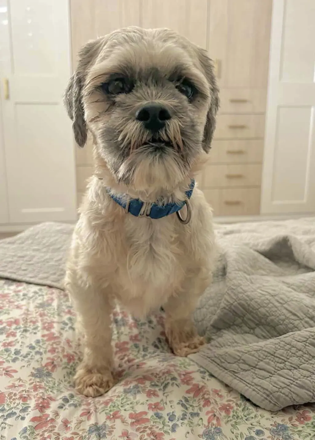 Oskar