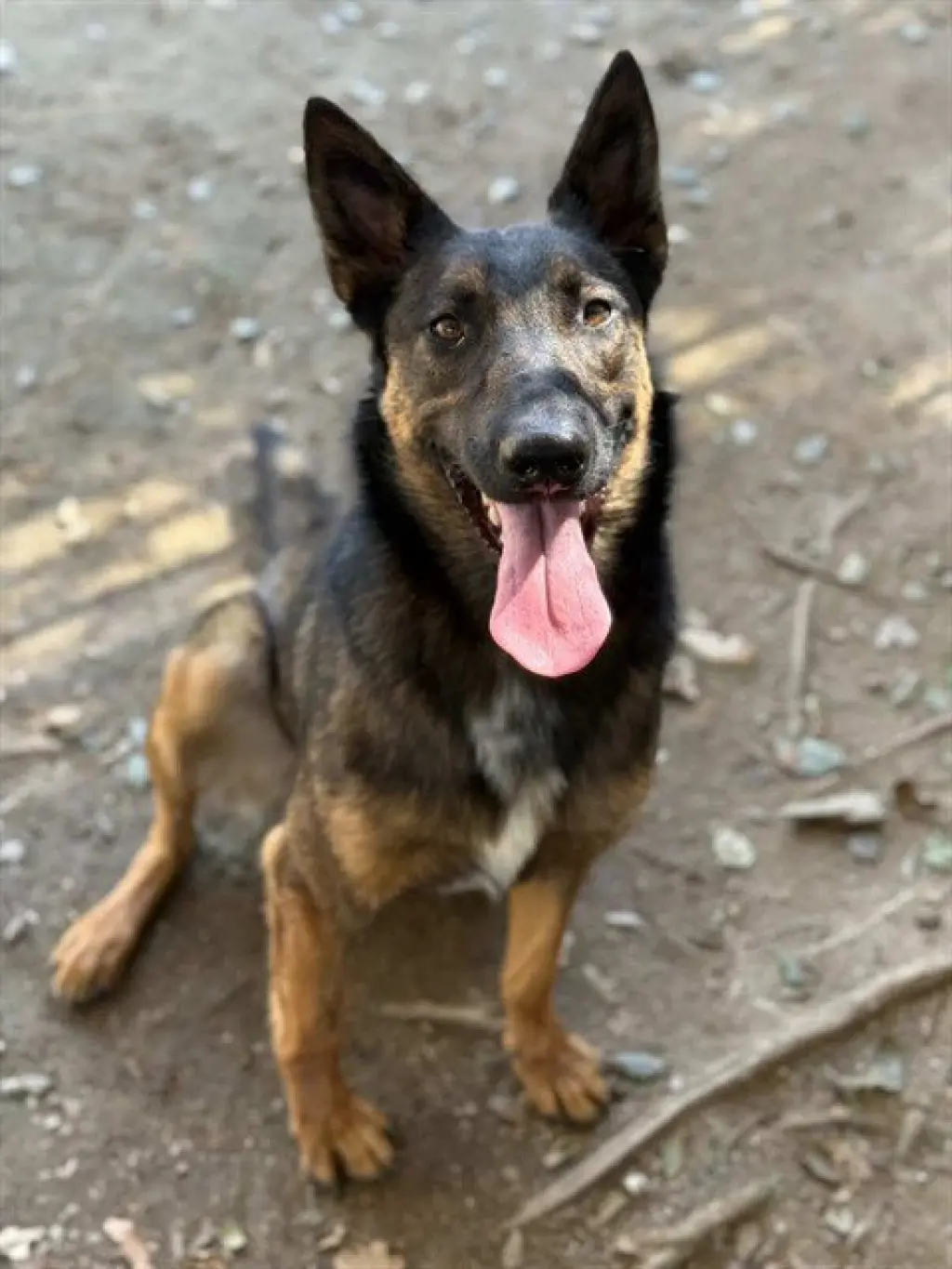 RAMBO