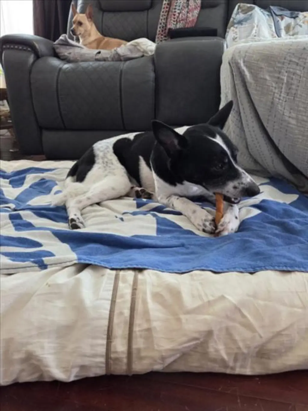 OREO