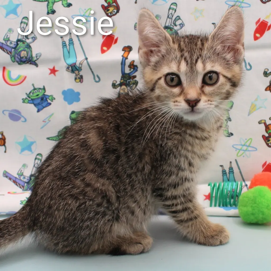 Jessie