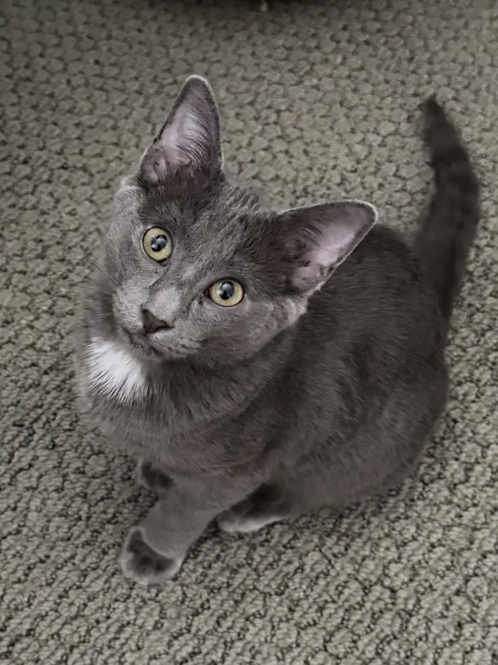 Smokey